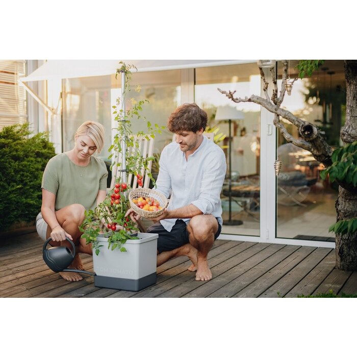 Gusta Garden Gusta Garden Tom Tomatenanbauset, Hellgrau