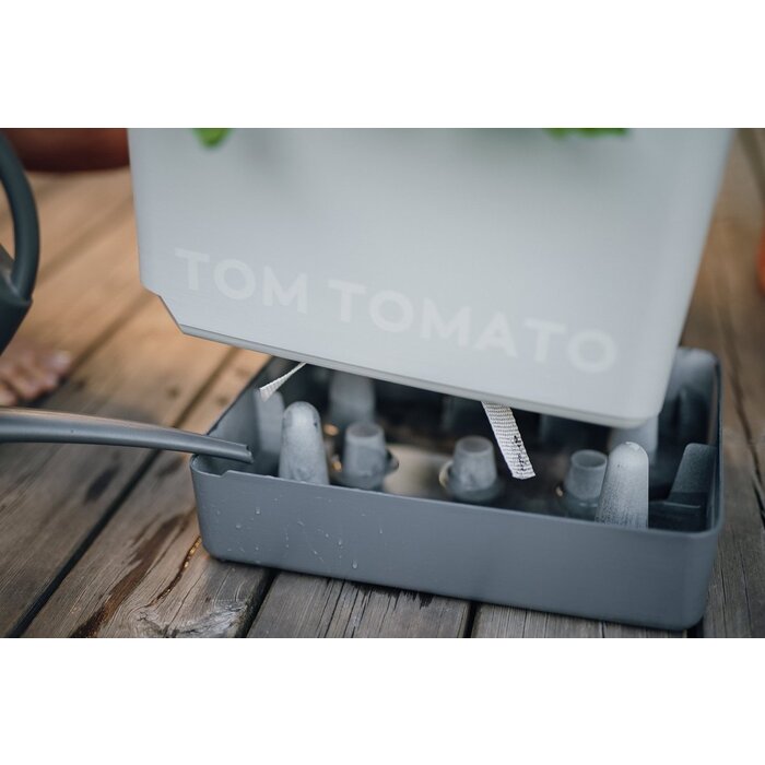 Gusta Garden Kit de culture de tomates Gusta Garden Tom Tomato, Bleu