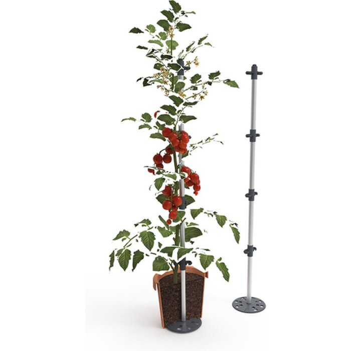 Gusta Garden Gusta Garden Tomato Buddy Klimhulp voor Tomaten etc set van 3