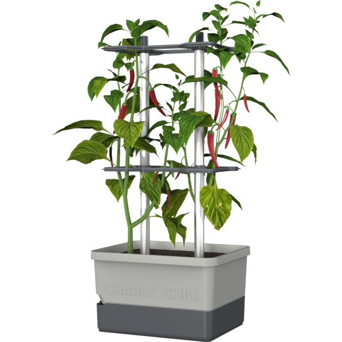 Gusta Garden Pot de culture de piments - Gusta Garden - Charly Chili - Gris clair - 35 cm x 28 cm x 69 cm - 1230 g