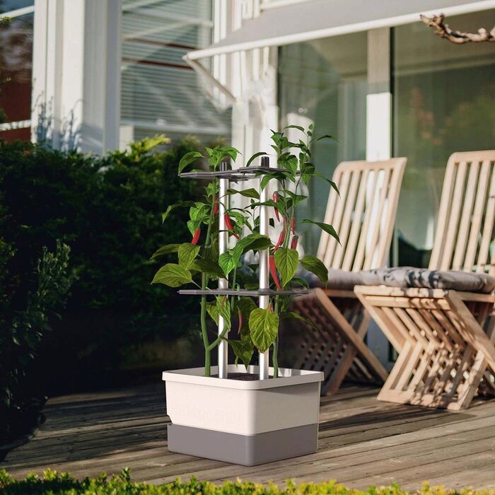 Gusta Garden Pot de culture de piments - Gusta Garden - Charly Chili - Vert - 35 cm x 28 cm x 69 cm - 1230 g