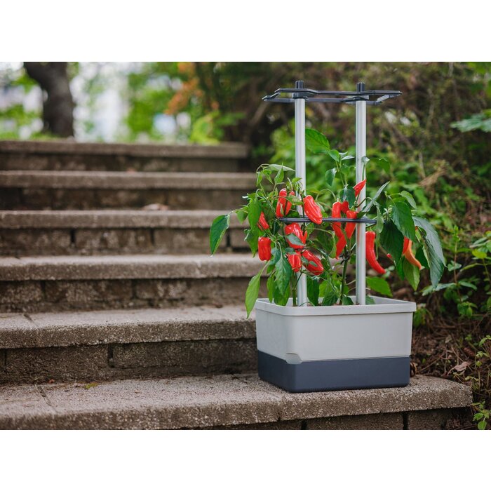 Gusta Garden Pot de culture de piments - Gusta Garden - Charly Chili - Vert - 35 cm x 28 cm x 69 cm - 1230 g