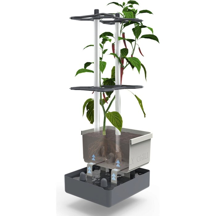 Gusta Garden Pot de culture de piments - Gusta Garden - Charly Chili - Vert - 35 cm x 28 cm x 69 cm - 1230 g