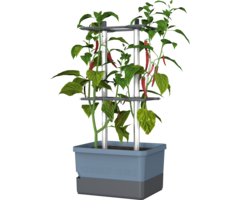 Gusta Garden Gusta Garden Charly Chili kweekpot, Blauw