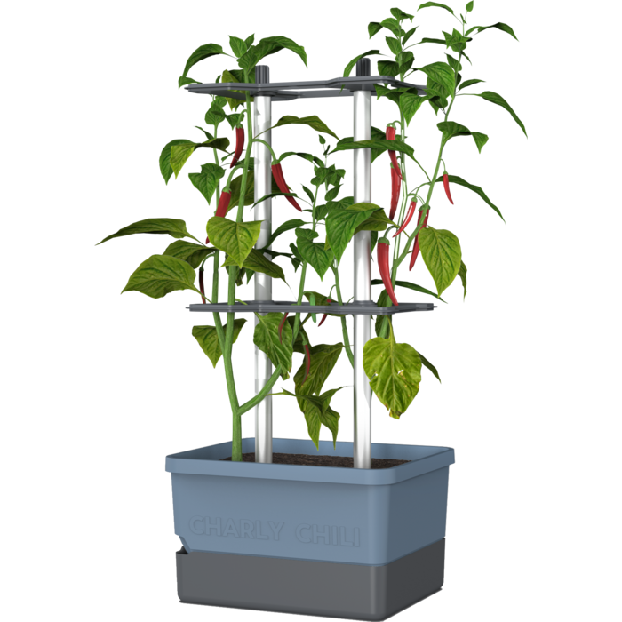 Gusta Garden Gusta Garden Charly Chili kweekpot, Blauw