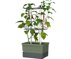 Gusta Garden Pot de culture de piments - Gusta Garden - Charly Chili - Vert - 35 cm x 28 cm x 69 cm - 1230 g