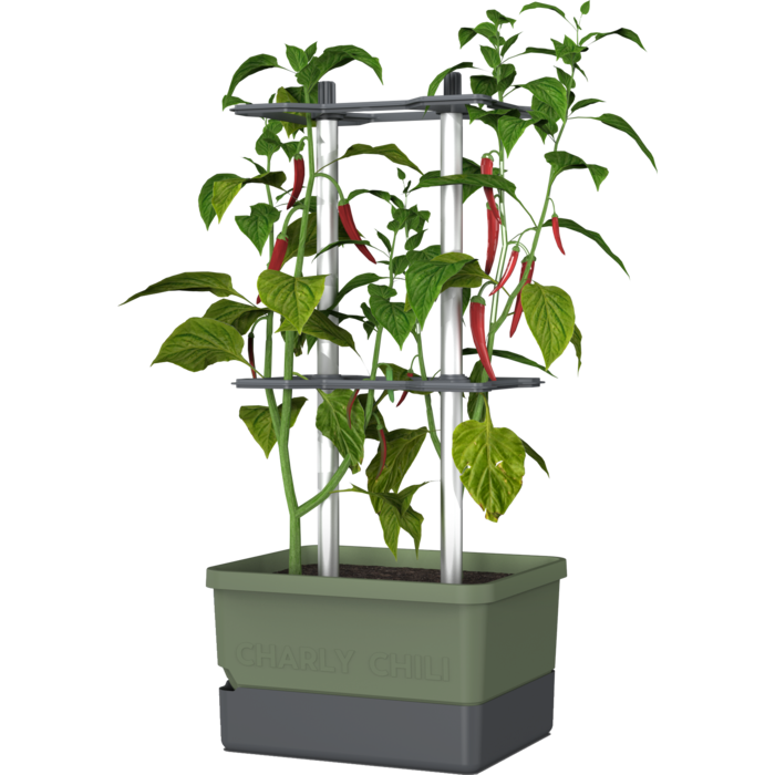 Gusta Garden Gusta Garden Charly Chili kweekpot, groen