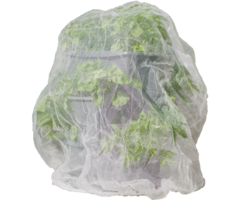 Gusta Garden Filet anti-insectes Gusta Garden pour pots de culture