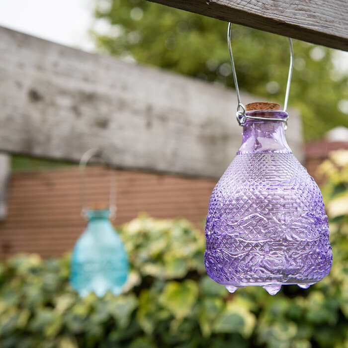 Esschert Design Dutchlander Vintage Wespenfalle Tartan Glas S lila