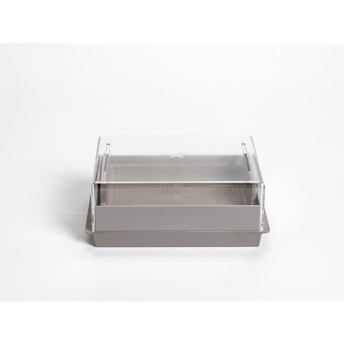 Microgreens-kiemgroente kweekbak economy Taupe