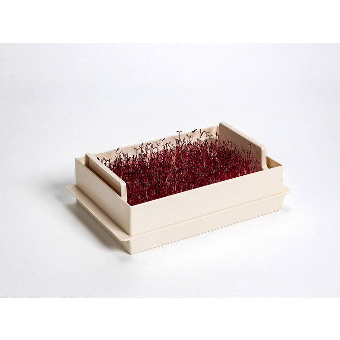 Propagateur de légumes à germes Microgreens economy Ivory