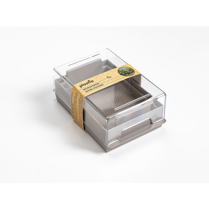 Microgreens-kiemgroente kweekbak economy Ivory