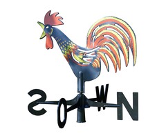 Windhaan - kunststof - voor de juiste windrichting