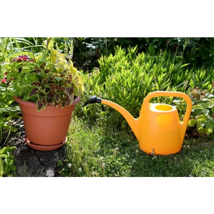 Dutchlander Arrosoir Eva plastique 2 litres avec douchette orange