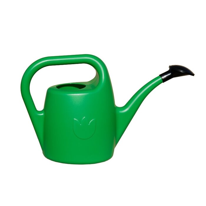 Dutchlander Arrosoir Eva plastique 2 litres avec douchette vert