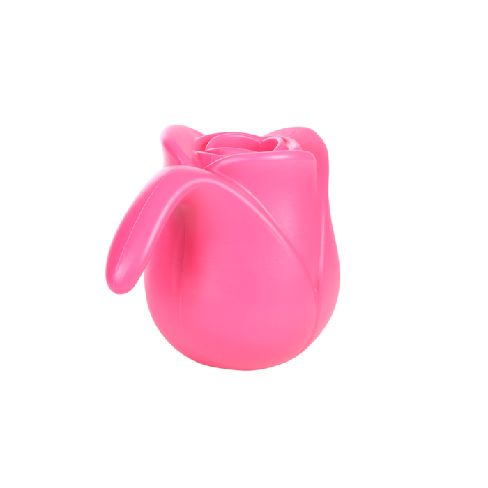 Dutchlander Dutchlander Gießkanne Tulpe 1,55 Liter Fuchsia