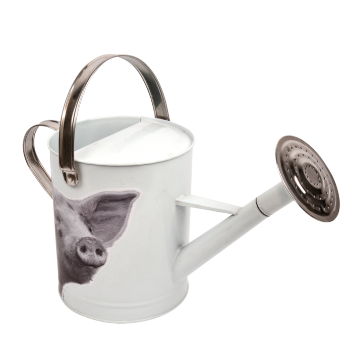 Esschert Design Arrosoir  Cochon Esschert Design 5 Litres 44.5 X 25 cm Zinc Blanc