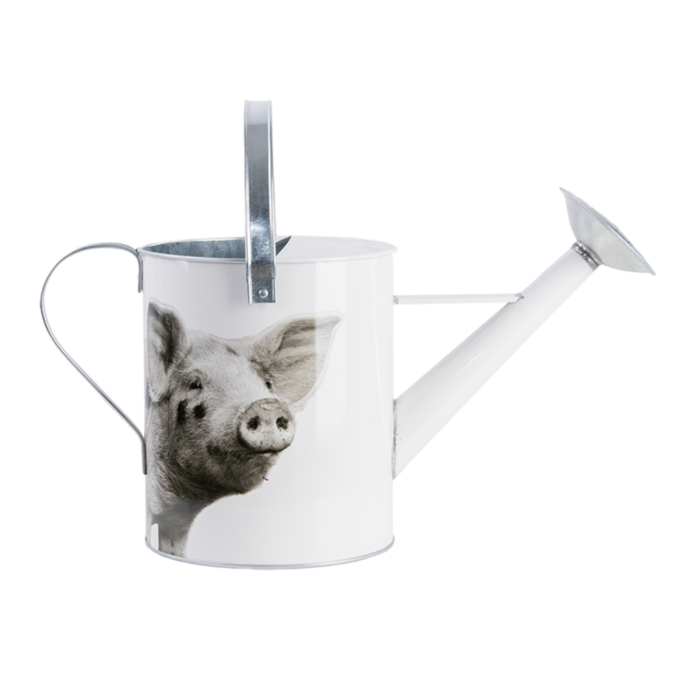 Esschert Design Arrosoir  Cochon Esschert Design 5 Litres 44.5 X 25 cm Zinc Blanc