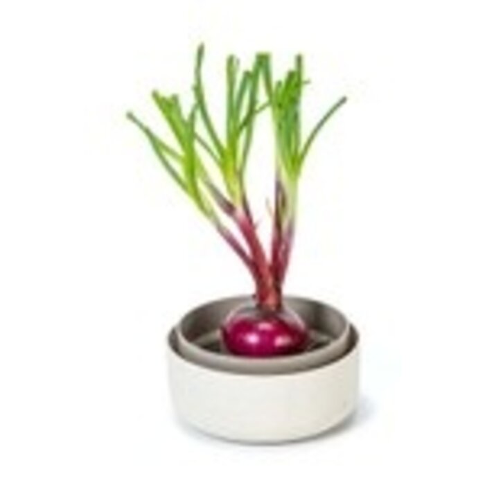 Urbalive Urbalive Regrow wachsen Schüssel dia 16cm Elfenbein weiß