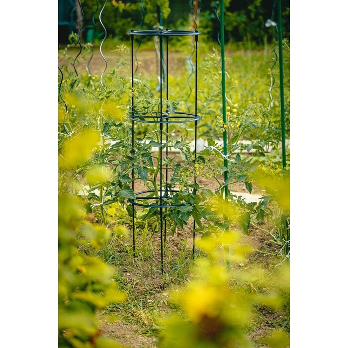 Urbalive Support de plantes en treillis Plastia Berberis 132,5 cm de haut x 38 cm de diamètre