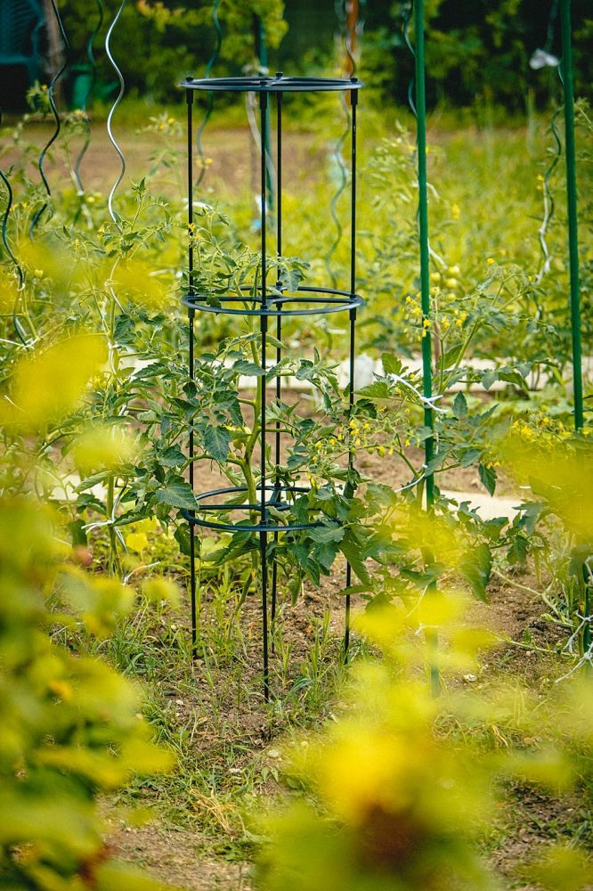 Urbalive Plastia - Berberis Trellis - plantensteun - 132,5 cm hoog x 38 cm rond