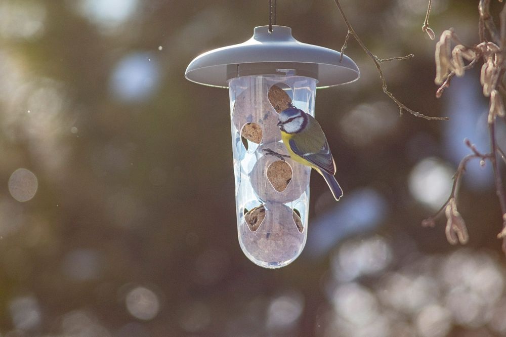 Dutchlander Robin vogelvoer 2 in 1 set antraciet