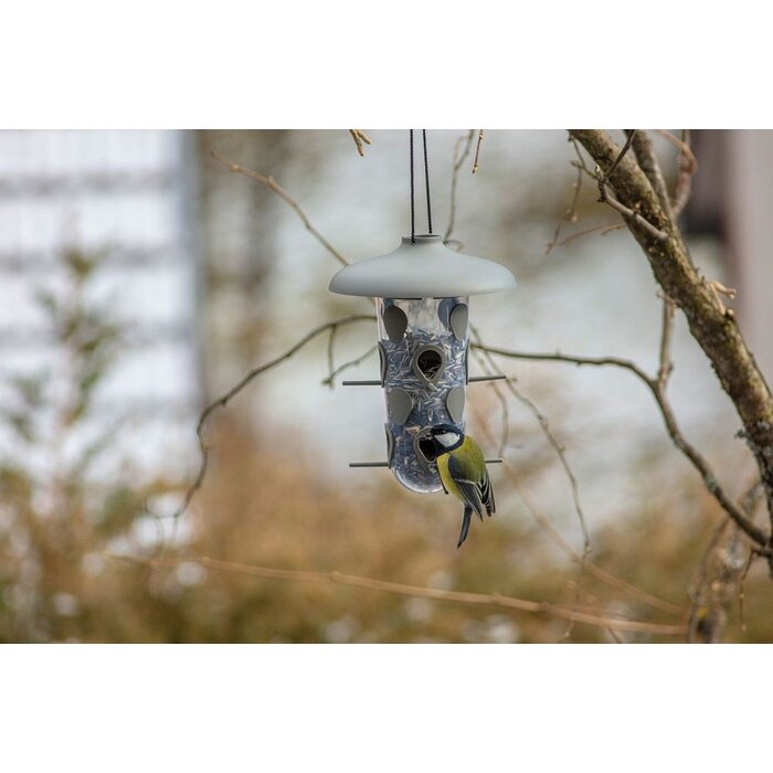 Dutchlander Robin Vogelfutterspender 2 in 1 Set anthrazit