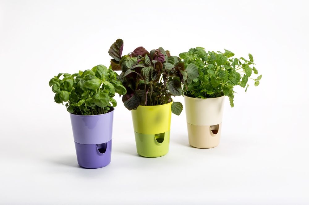 Blumentopf mit Bewässerungsfunktion Rosmarin D11cm H14.2cm Grau