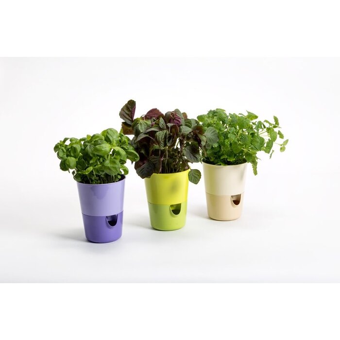 Bloempot met irrigatiefunctie Rosmarin D11cm H14.2cm geel/groen