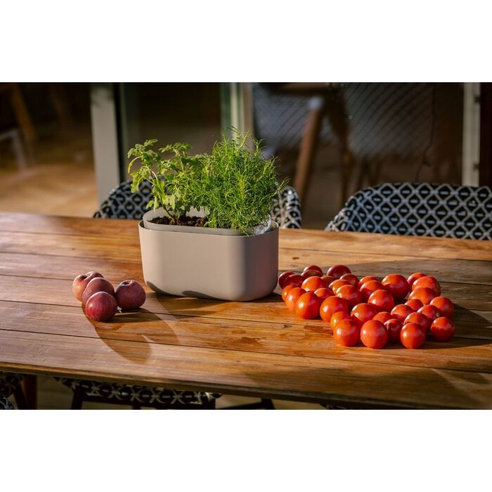 Plastia plantenbak Tolita zelf-bewaterend Taupe