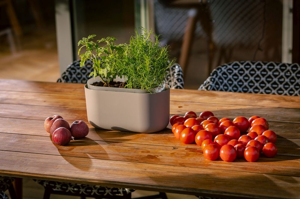 Jardinière Plastia Tolita auto-arrosante Taupe