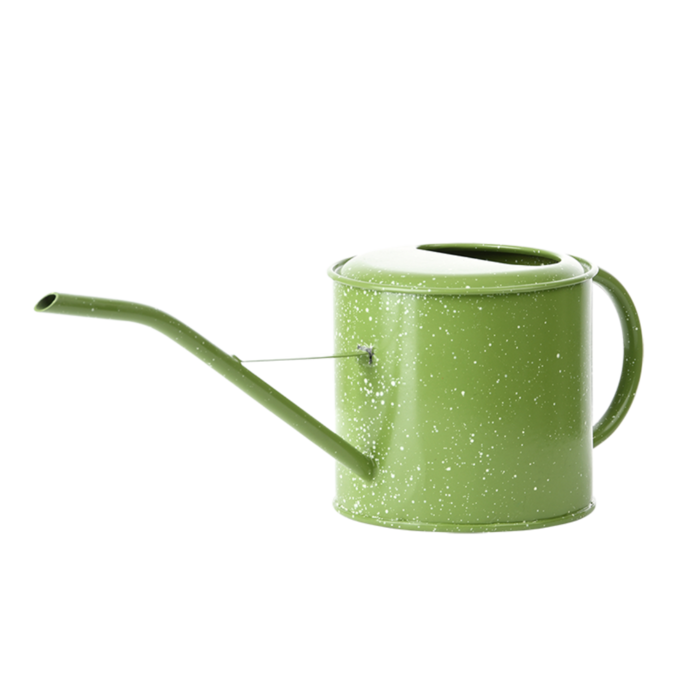 Esschert Design Esschert Design arrosoir en métal 1,35 litres Vert