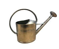 Esschert Design Dutchlander arrosoir de luxe en acier inoxydable 7 litres