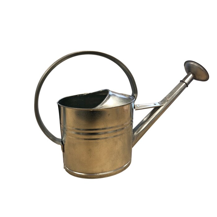 Esschert Design Dutchlander grote metalen verzinkte gieter met een inhoud van 10 liter en voorzien van broeskop.