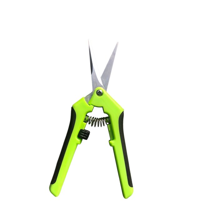 Dutchlander Dutchlander compacte RVS snoeischaar voor takjes, bloemen, fruit en kruiden