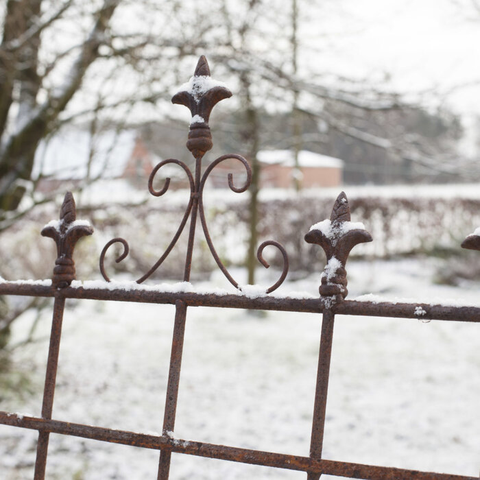 Esschert Design Support de plantes en métal 2D Lys français 160 cm taille L