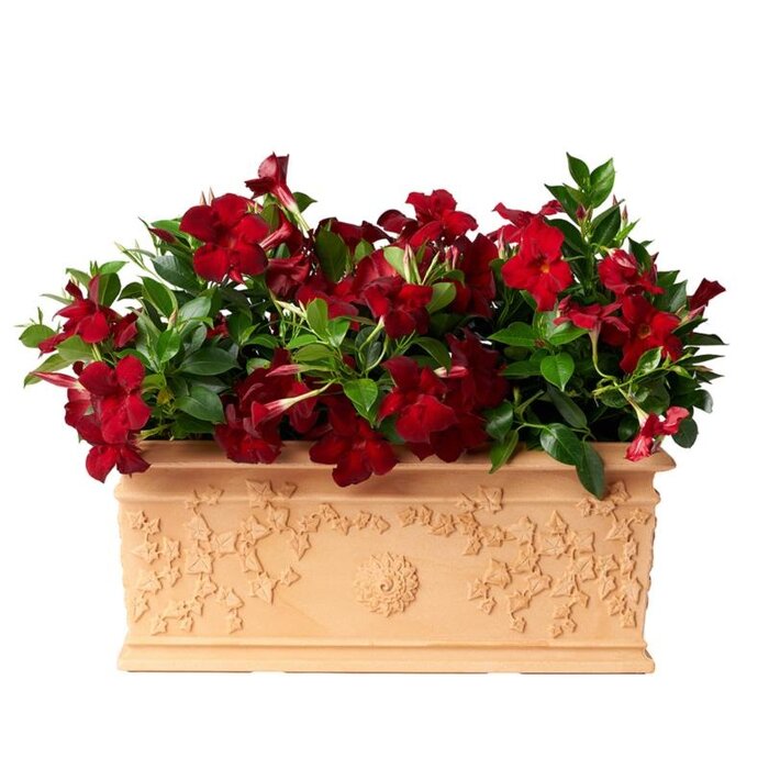 Bama Bama FIORIERA VITE Plantenbak – 80 cm – Terracotta – Kunststof & Klassiek