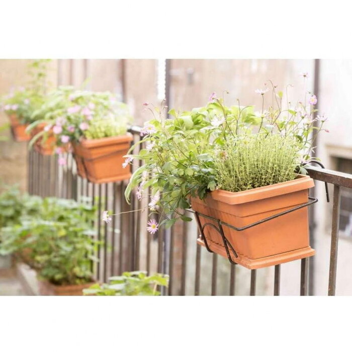 Iris-Pflanzgefäß für den Balkon 50 cm - Behälter, Halter und Untersetzer - Terracotta Look