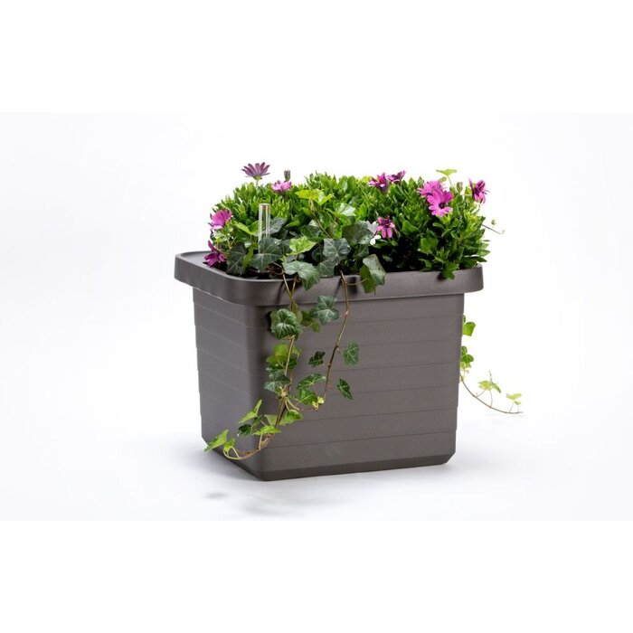 Plastia Berberis Uno Selbstbewässerungs-Blumenkasten - Anthrazit - 18 L Substrat - 9 L Wasserreservoir