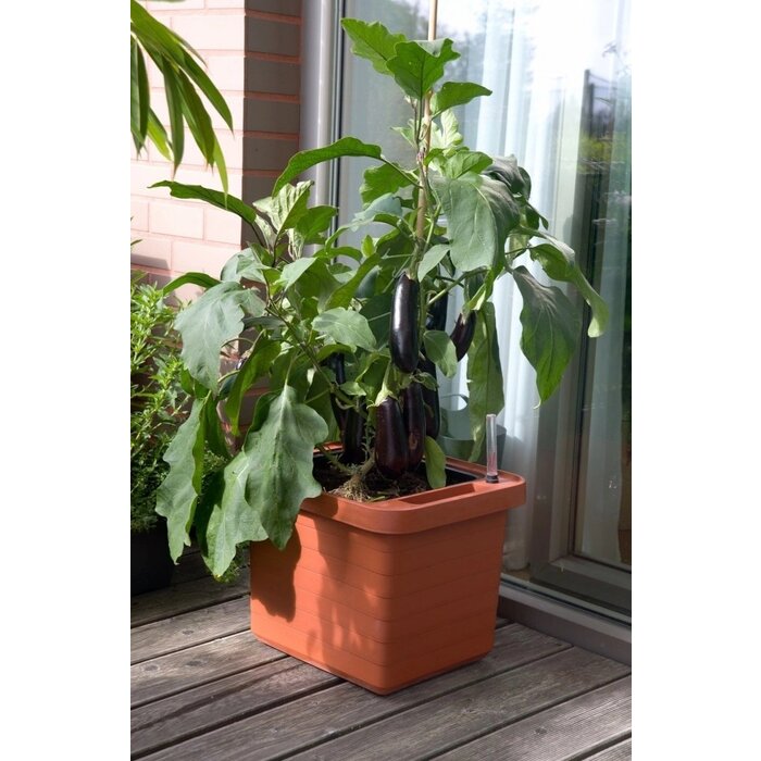 Berberis Uno Selbstbewässerung Blumenkasten - Terrakotta - 18 L Substrat - 9 L Wasser