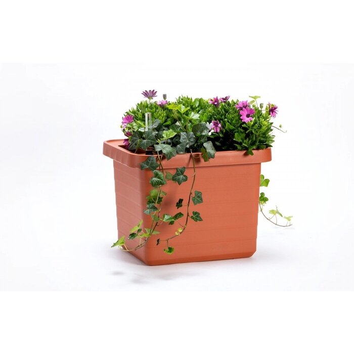 Berberis Uno Selbstbewässerung Blumenkasten - Terrakotta - 18 L Substrat - 9 L Wasser