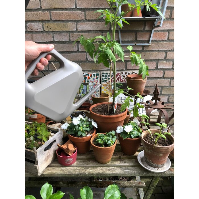 Plastia Gieter Rave kunststof 1,6 liter taupe