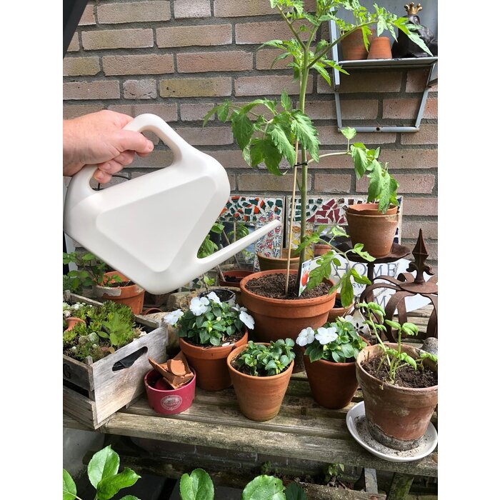 Arrosoir en plastique Rave - Plastia - 1,6 litre - Ivoire