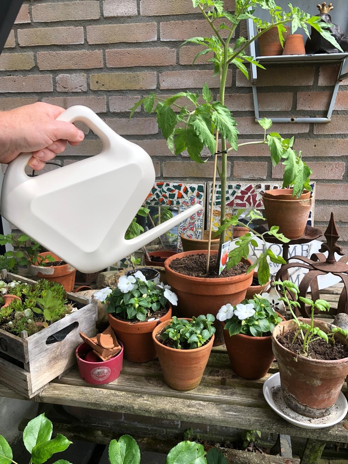 Plastia Gieter Rave kunststof 1,6 liter ivoor