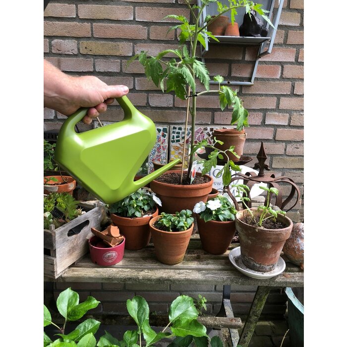 Plastia Gießkanne Rave Kunststoff 1,6 Liter grün