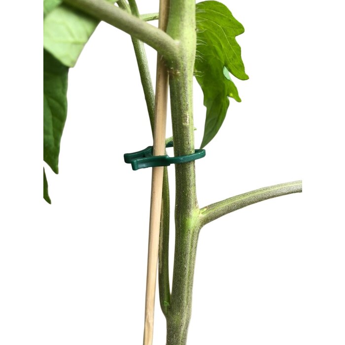 Plantenclips groen 3 x 2,3 cm per 50 stuks