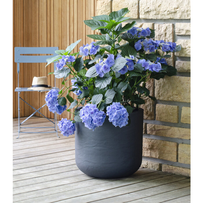 EDA EDA Plantenbak Vulcania Up Rond 50 cm antracite 67 liter