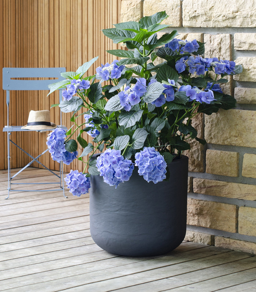 EDA EDA Jardinière Vulcania Up Round 50 cm anthracite 67 litres