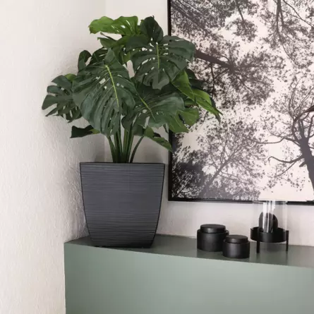 EDA EDA Pflanzgefäß Carre Diva Vulcania Stein schwarz 43,5 x 43,5 x 44,2 cm