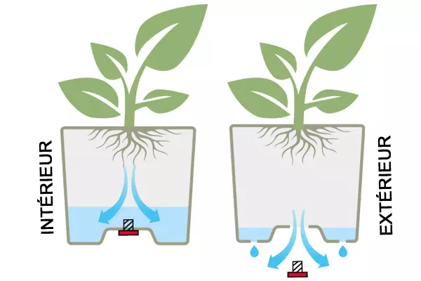EDA Carel Vierkante Plantenbak 40 cm met Wielen – 26 L – Dubbelwandig – Mat Zwart